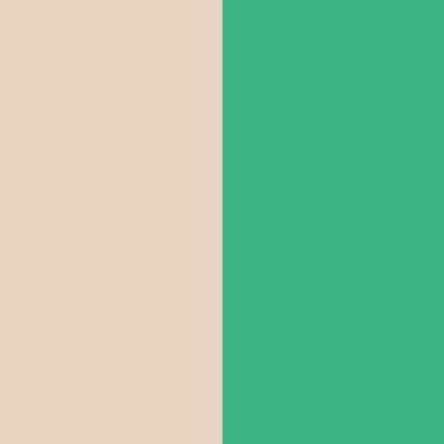 Beige and Mint Green